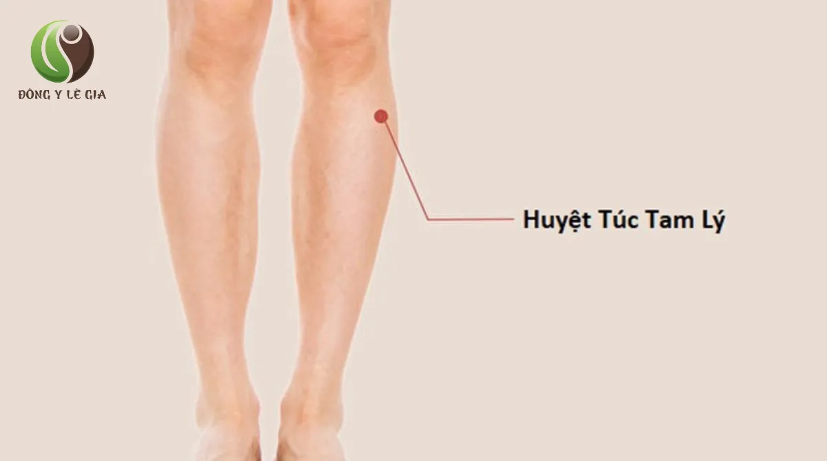 ấn huyệt trị liệu
