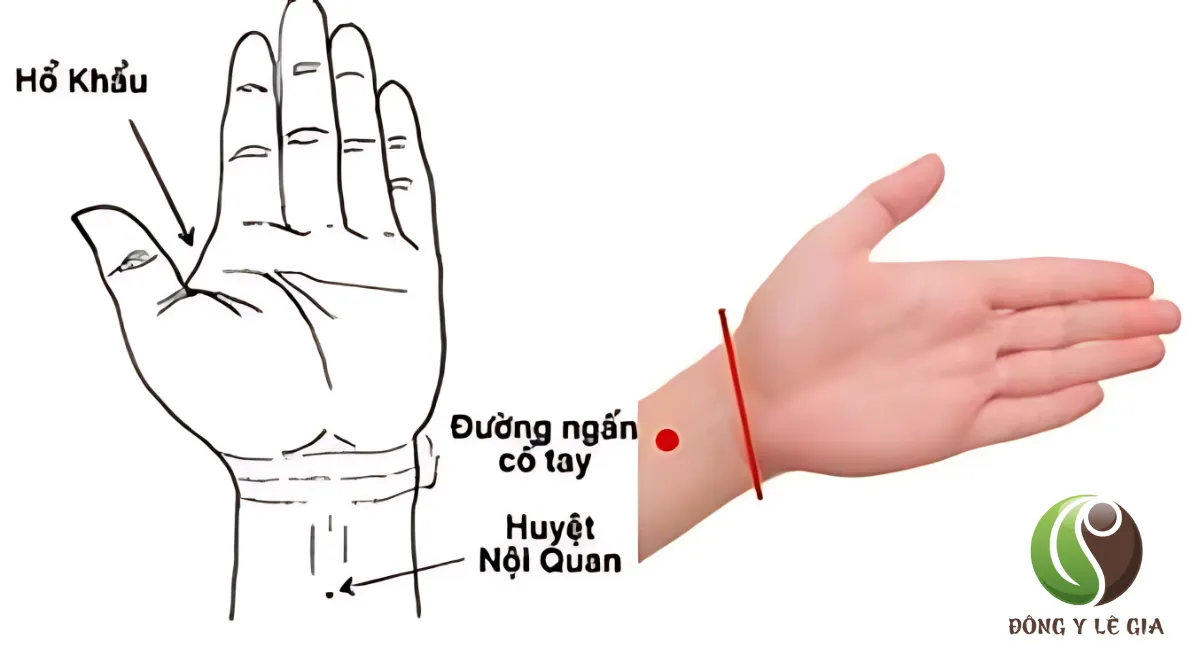 ấn huyệt trị liệu