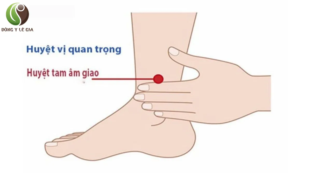 đau nhức bắp chân