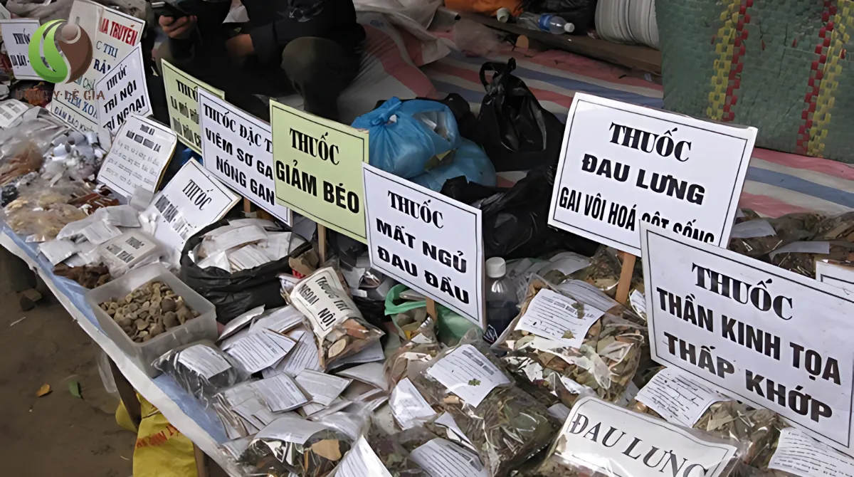 đông y cổ truyền