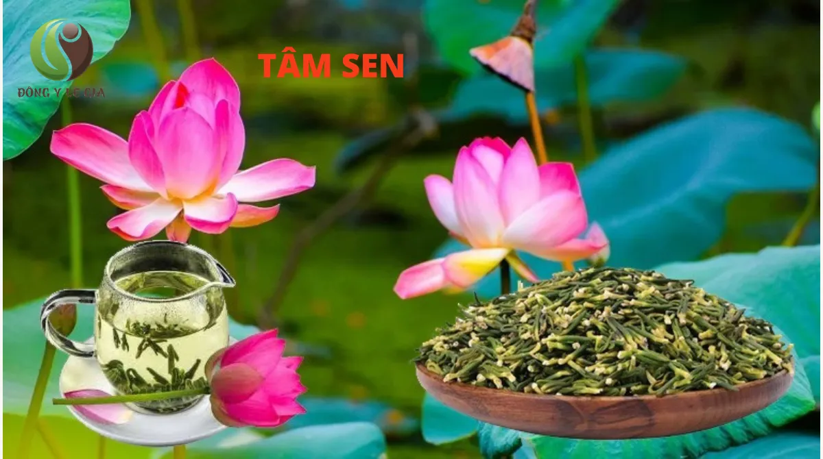 dược cổ truyền
