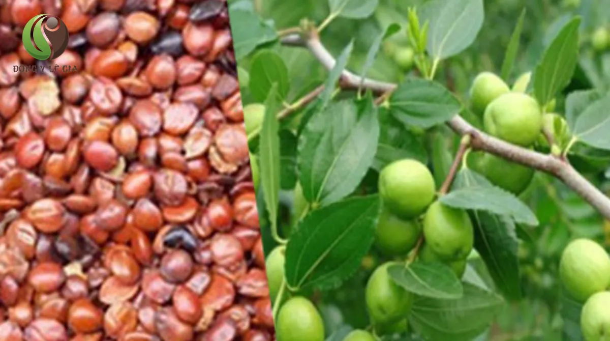 dược cổ truyền