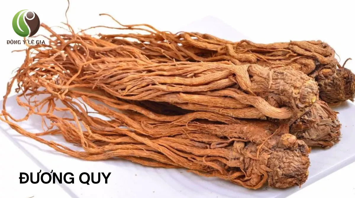 Gai đốt sống lưng