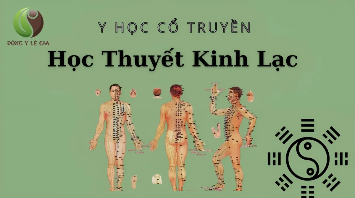 học y học cổ truyền