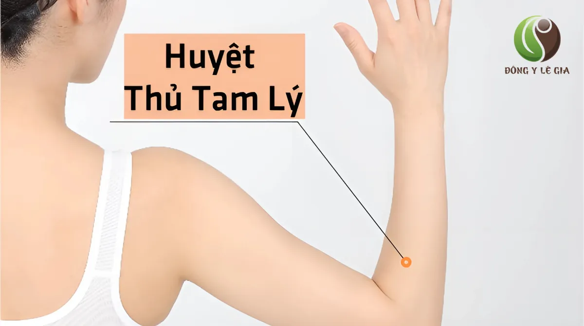 huyệt thủ tam lý
