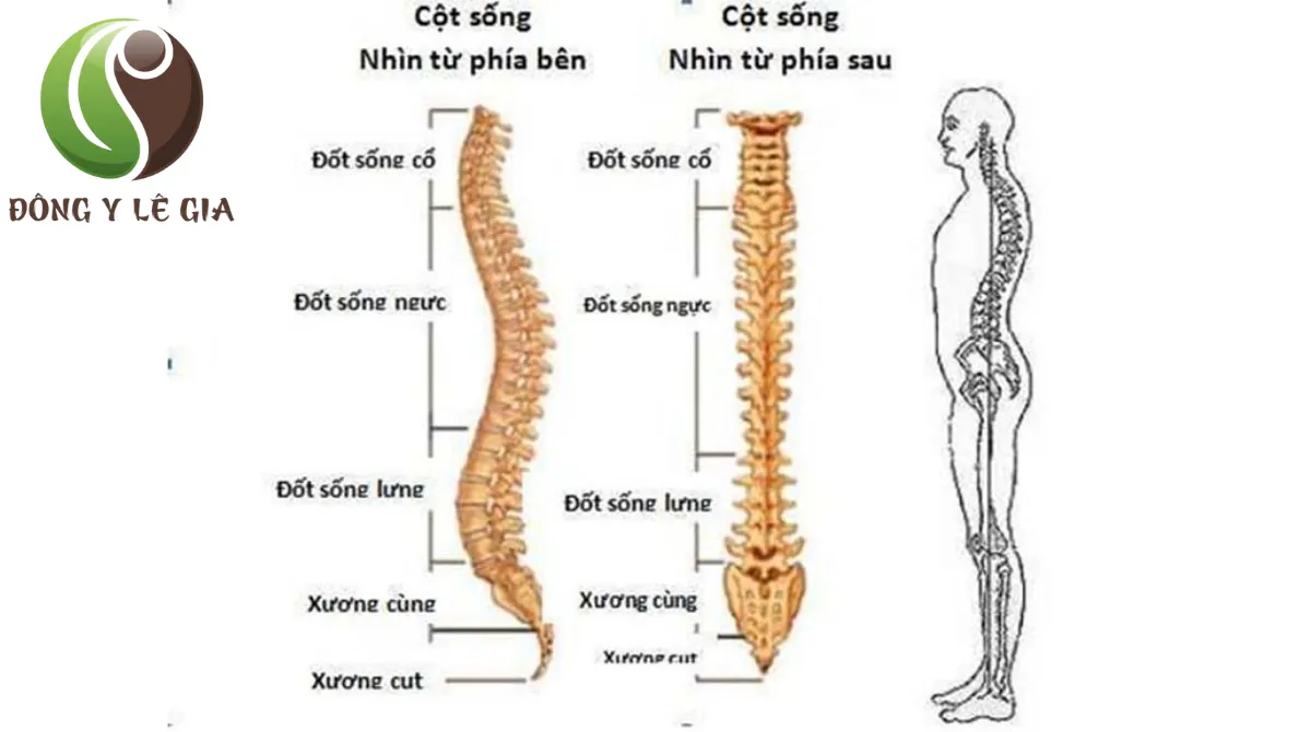 tác động cột sống