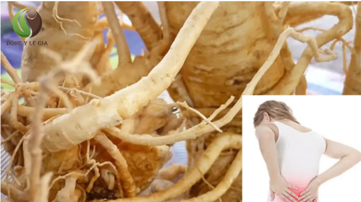  đau thắt lưng cột sống