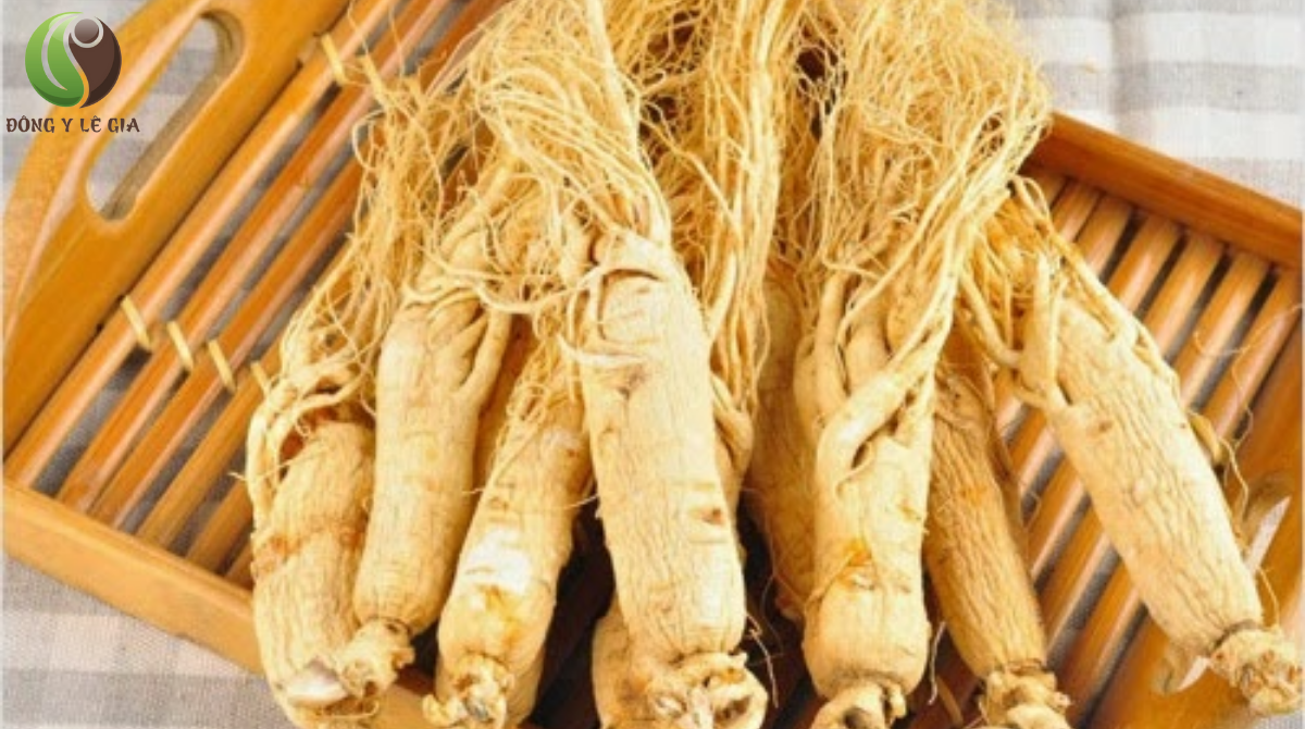 đông y gia truyền
