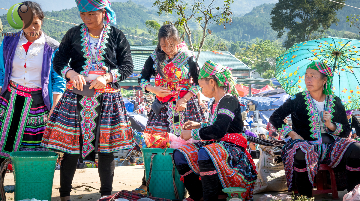 đông y gia truyền