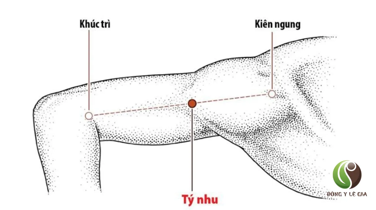 huyệt kiên ngung