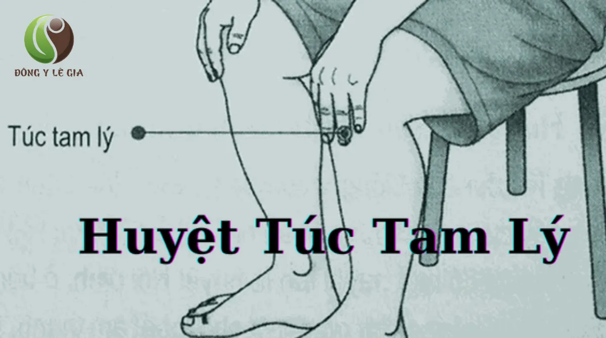 huyệt túc tam lý